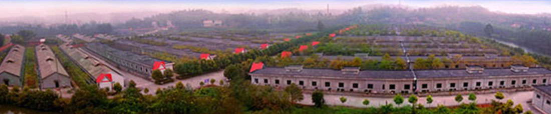 未標(biāo)題-5 未標(biāo)題-5